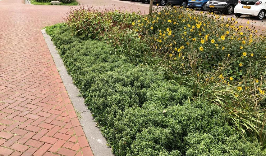 HHNK-subsidie voor klimaatbestendige toekomst