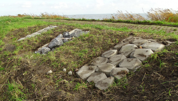 Eerste tijdelijke ringslangverblijven aangebracht