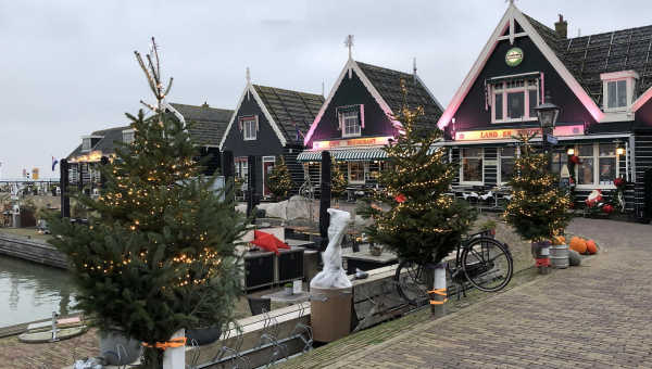 Verlichte kerstbomen bij 'Land en Zeezicht'