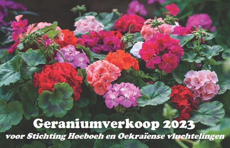 Geraniumverkoop 2023