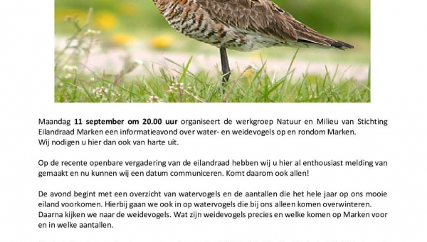 Informatieavond water- en weidevogels op Marken