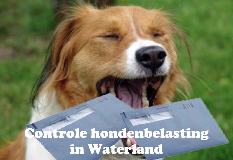 Controle hondenbelasting in Waterland