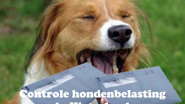 Controle hondenbelasting in Waterland