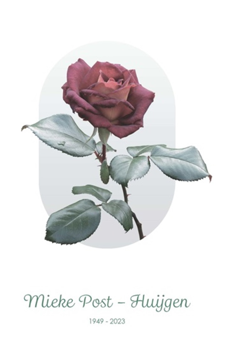 Bericht van overlijden: Mieke Mintje Post - Huijgen