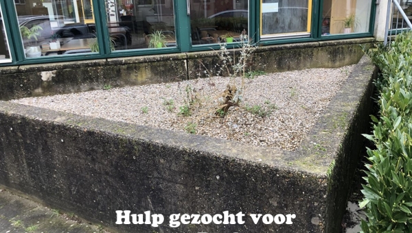 Hulp gezocht voor basisschool De Rietlanden