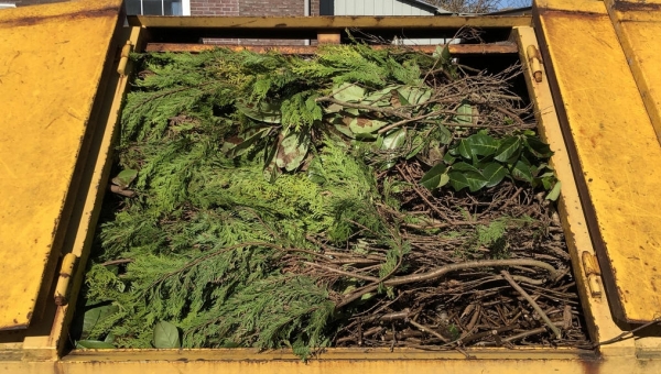 Groencontainer bewijst op eerste openingsdag in 2024 zijn nut