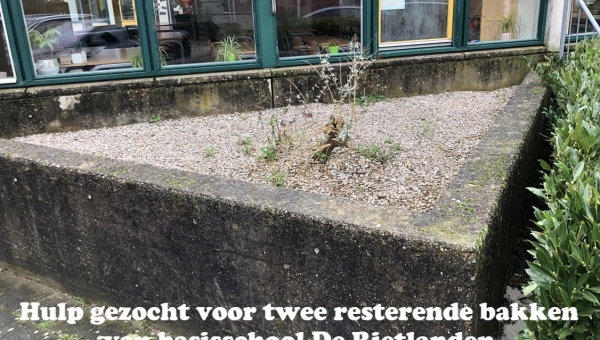 Hulp gezocht voor twee resterende bakken van basisschool De Rietlanden