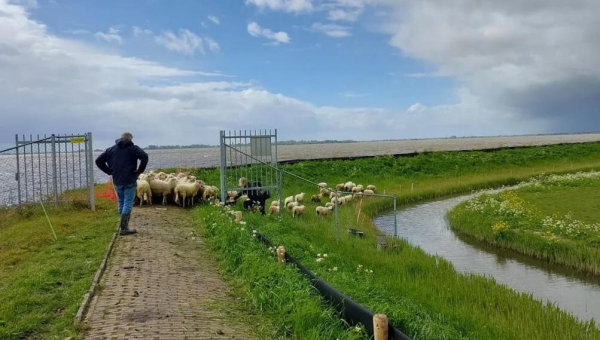 Beheer en Onderhoud Omringkade Marken