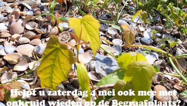 Helpt u zaterdag 4 mei ook mee met onkruid wieden op de Begraafplaats?