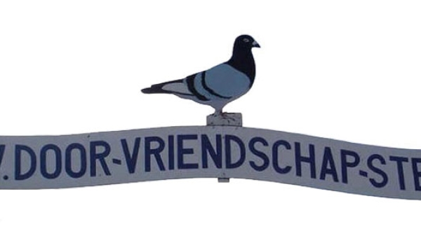 Zaterdag 14 december: 'Duivententoonstelling 2024'