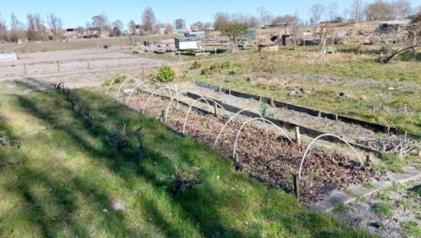 Volkstuin aan de Oostzai te huur