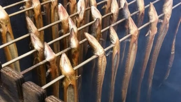 De 27e palingrookwedstrijd op de Marker Havenfeesten