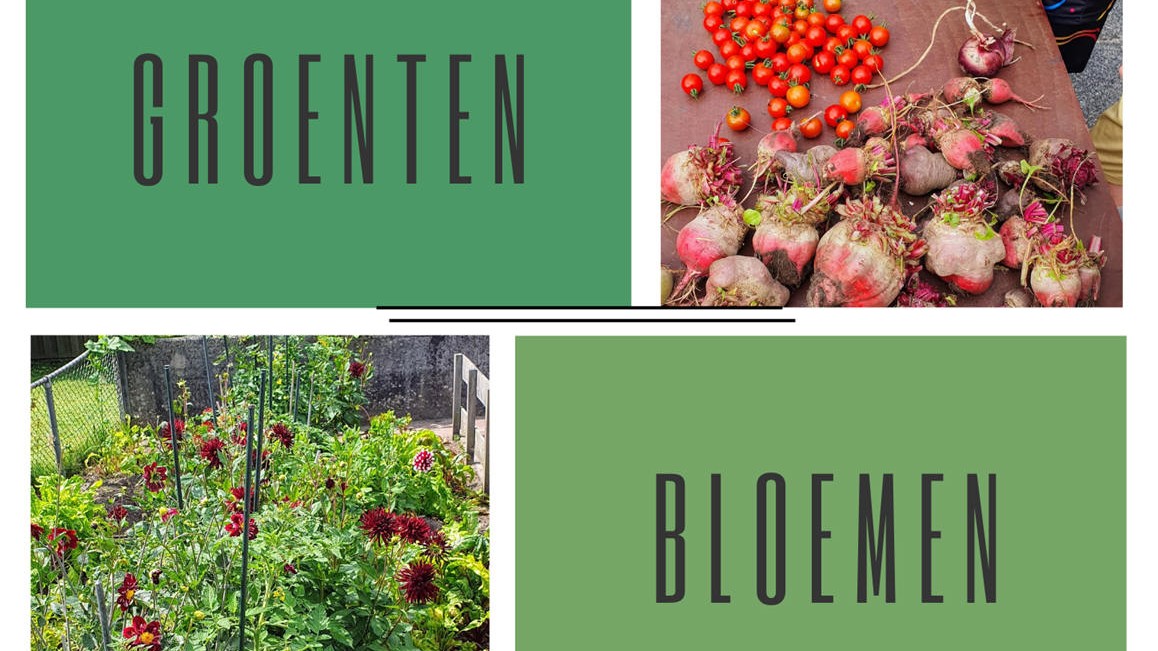 Doneer uw statiegeld van AH en steun Schooltuinen van De Rietlanden