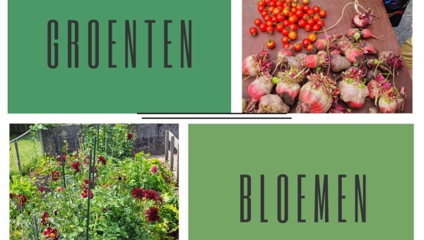 Doneer uw statiegeld van AH en steun Schooltuinen van De Rietlanden