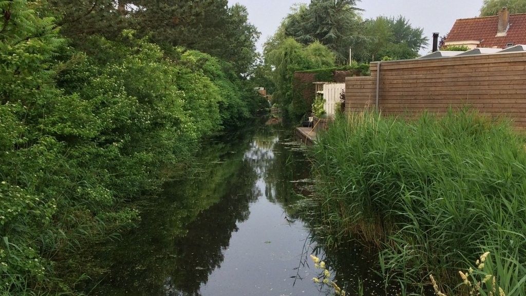 Geef water de ruimte, check je sloot!