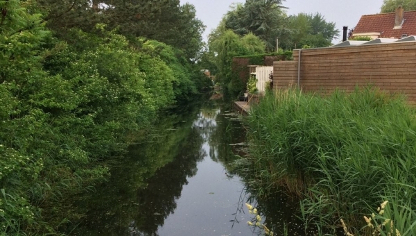 Geef water de ruimte, check je sloot!