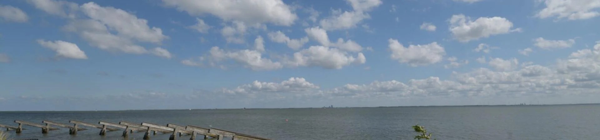 Plannen Rijkswaterstaat voor versterking natuur Markermeerkust