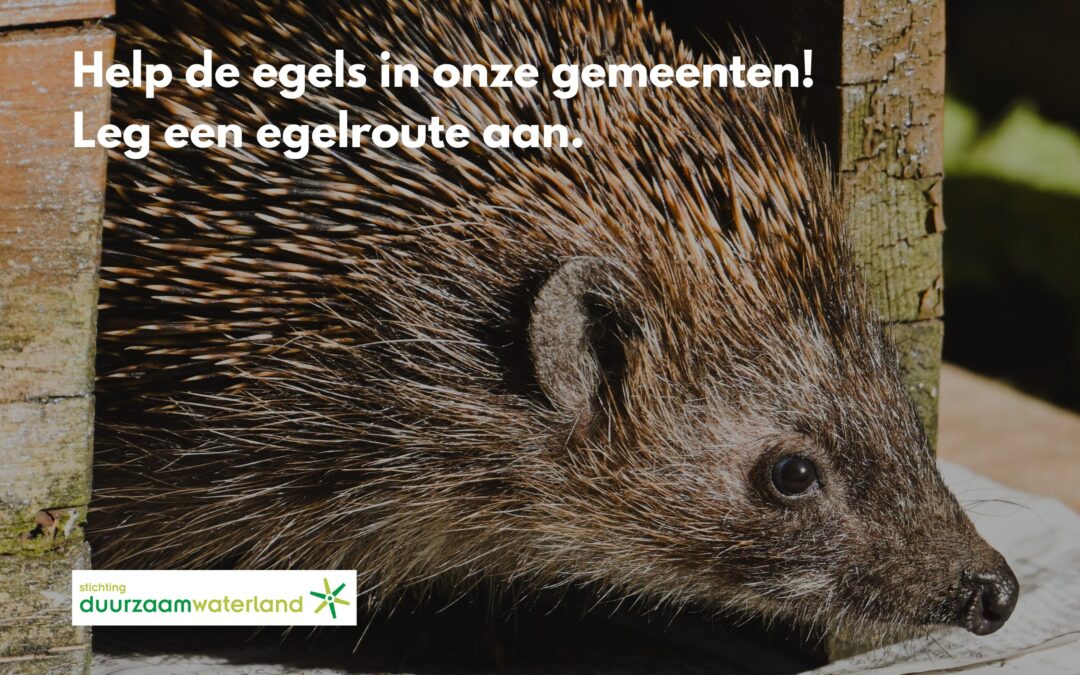 Meld je aan: wedstrijd voor de langste egelroute